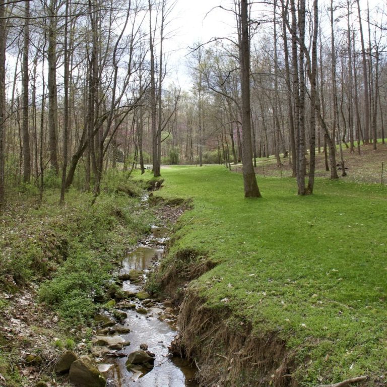 Undeveloped land with trees and a creek running through it.